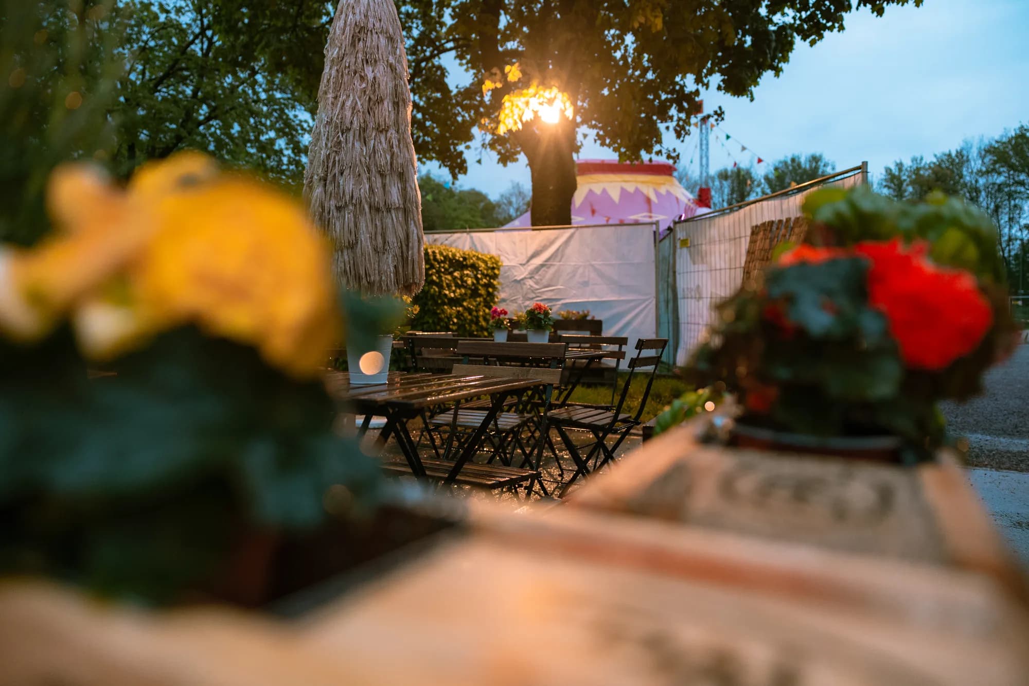 A view of the Uferlos festival grounds at dusk showing empty tables and a pink tent in the background.