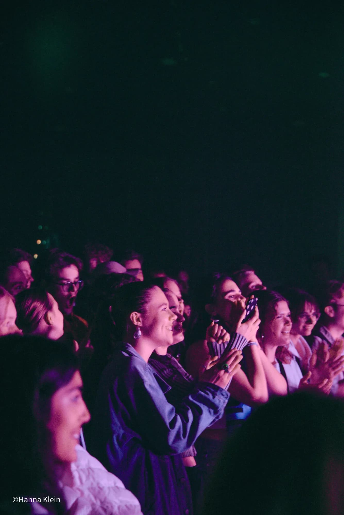 Festival Audience Silhouettes