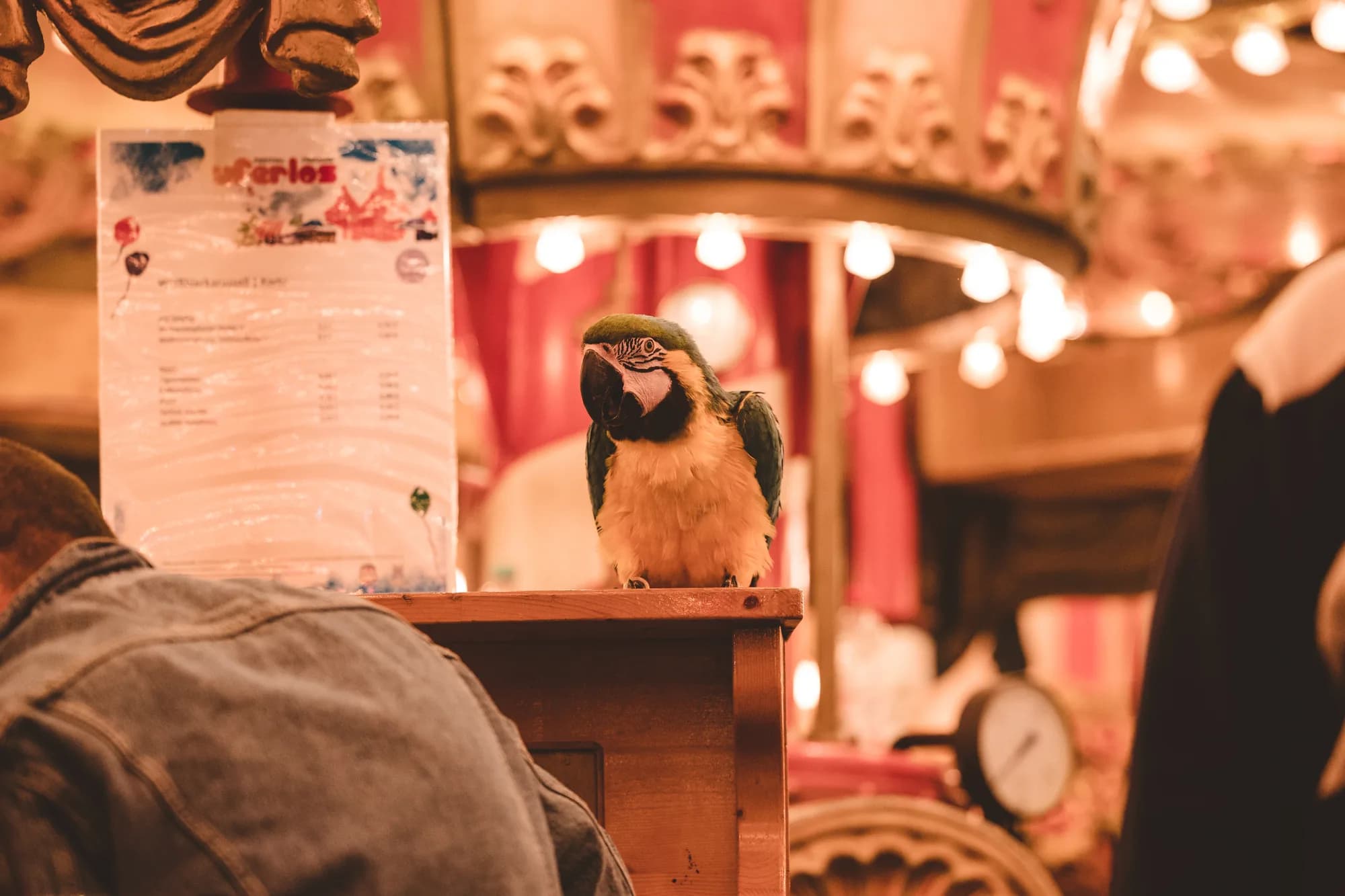 A green and yellow macaw parrot perched on a wooden carousel post with a menu sign and warm lights in the background.